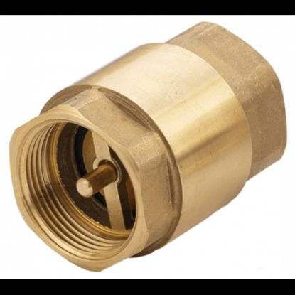Brass Check Valve 75 mm